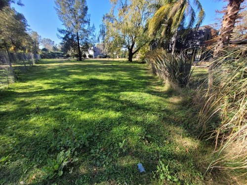 Imagen 2 de 5 de Terreno - La Pradera
