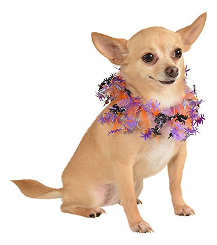 Collar De Mascota Elegante Púrpura Y Naranja Rubie's - Xl