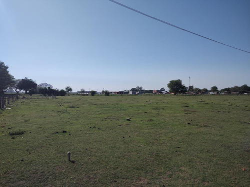 Imagen 7 de 17 de Campo - Timbues Jose Maria
