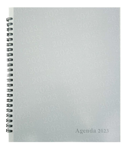 Repuesto Para Agenda Insignius 2024