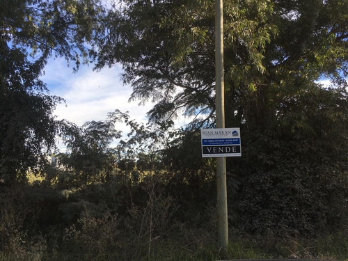 Imagen 4 de 5 de Fracción De 1 Hectarea En Marcos Paz