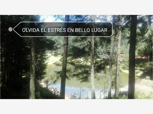 Imagen 8 de 12 de Terreno En Venta Lotes En Preciso Bosque De Real Del Monte