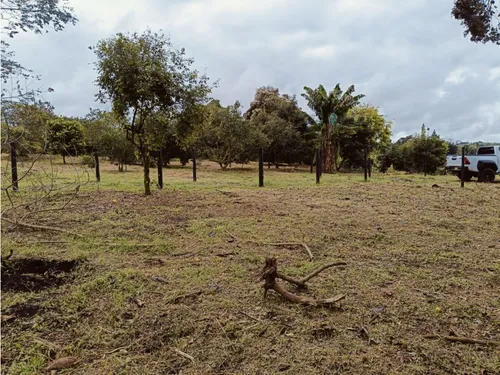 Se Venden Lotes En Quimbaya - Quindío