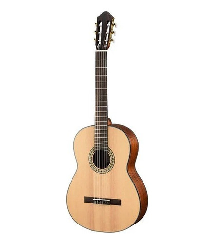 Guitarra Electroacustica Con Cuerdas De Nylon Walden N550e