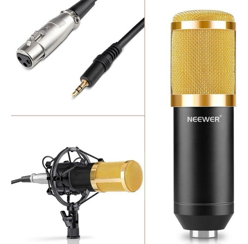 Kit Micrófono De Radio Y Grabación Neewer Nw-800 En Stock