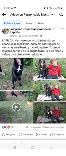 Donaciones Para Nuestros Rescatados En Adopción 