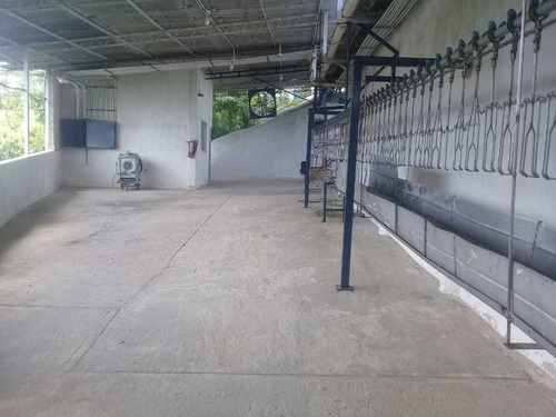 Imagen 15 de 25 de En Venta Finca Matadero De Pollo