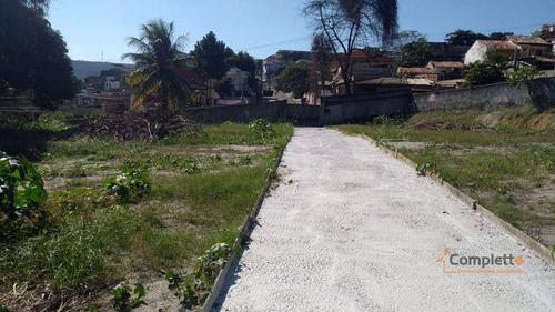 Imagem 10 de 14 de Terreno À Venda, 6000 M² Por R$ 4.000.000 - Taquara. - Te0025