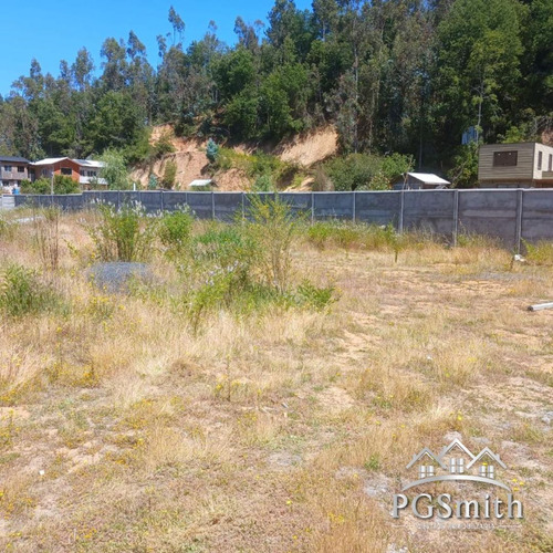 Excelente Sitio Plano En Hualqui (73609)