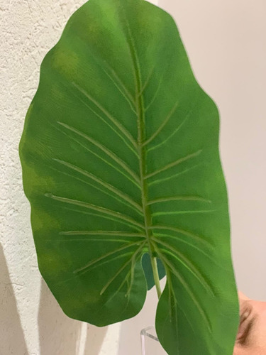 Planta Artificial Hoja Costilla De Adan Deco Interiores 61cm Color Pata de Elefante
