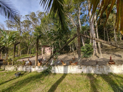Imagem 26 de 30 de Esta Belíssima Chácara De 7.000 M², Rica Em Água E Envolta Por Mata Nativa Está Localizada Em Juquitiba/sp, A Poucos Minutos Do Rodoanel Mario Covas. - 142 - 70274662