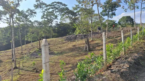 Venta Lote En Nocaima