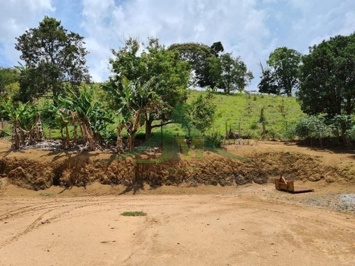 Lindo Sítio À Venda Em Piracaia Com 48400m² De Área - 1642