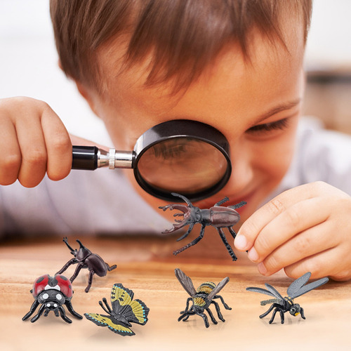 Juego De 6 Juegos De Mariposas De Simulación En 3d Para Niño