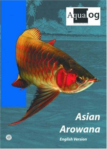 Aqualog Asiatico Arowana