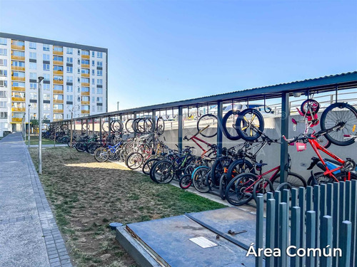 Arriendo Departamento Desiderio Sanhueza, Concepción