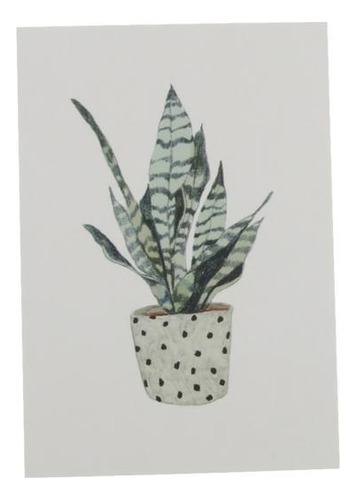 3 Tarjeta De Fondo Para Fotografía Sansevieria Trifasciata