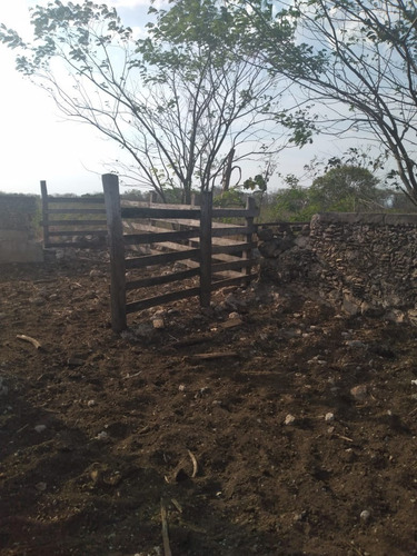 Rancho Cerca De Merida Yucatan Propiedad Privada