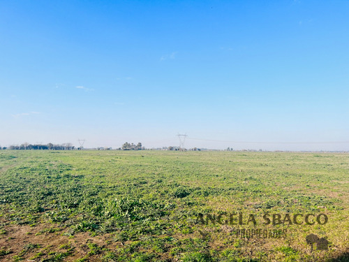 Excelente Campo Agrícola/ganadero!.