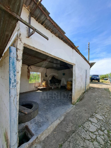 Finca La Azulita