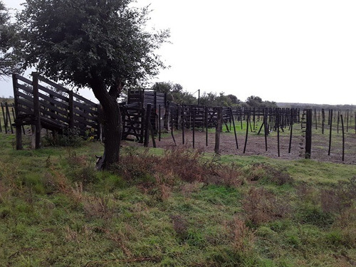 Campo Ganadero 610 Ha, Traslasierra, A Pocos Km De Cura Brochero Con Casa Empleados. U$s 1.312/ha