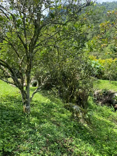 Lotes En Cachipay
