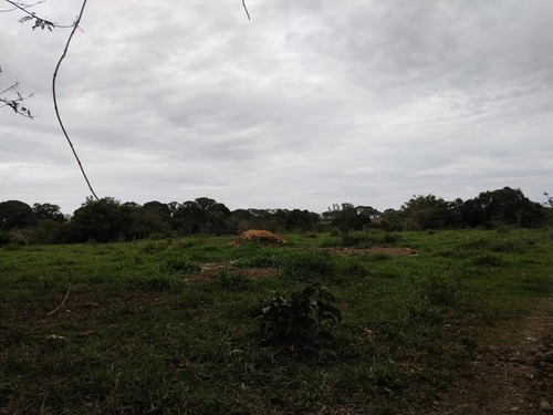 Venta Terreno 6 Has. Santiago De La Peña Tuxpan Veracruz