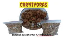 Comprar Sphagnum Moss Deshidratado De N. Zelanda Carnívoras Terrario