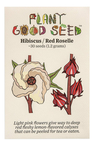 Hibiscus Sabdariffa/roselle Seeds - Paquete De 30 Semillas D