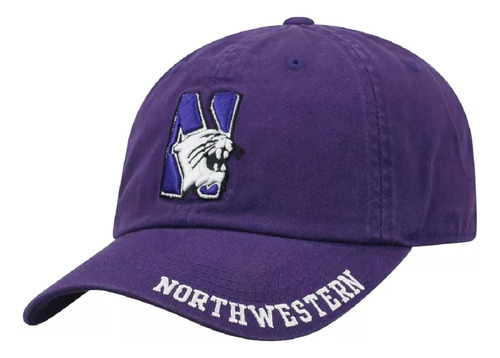 Gorra Oficial De La Universidad Northwestern Con Logotipo