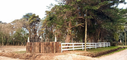 Imagen 1 de 16 de Barrio San Jeronimo Lote Terreno Buenos Aires Matheu Escobar