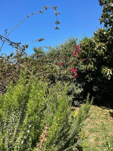 Casa En La Playa 7 Personas, Piscina Climatizada, Jacuzzi X 6 Personas Con Hidromasaje, Pool Profesional, Ping Pong, Barbacoa, 3 Dormitorios, 2 Baños, Cochera 2 Autos, Wifi.