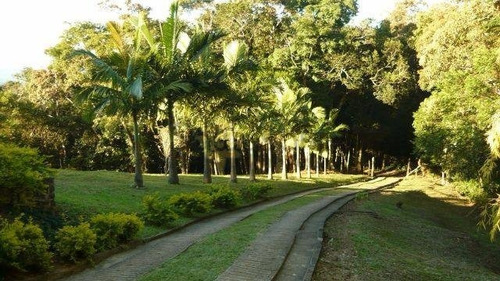 Imagem 1 de 19 de Terreno Para Venda Em Serra Da Igreja Morretes-pr - 5641