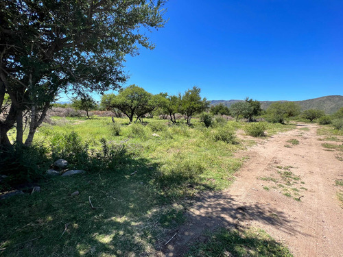 Tres Hectareas En San Francisco Del Monte De Oro.