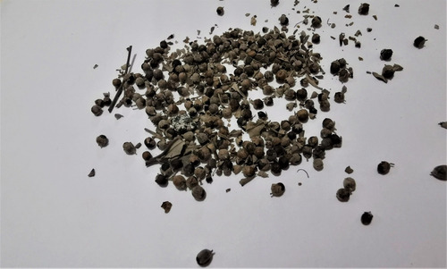 200 Ml Agnus Castus Sauzgatillo Tintura Plantasi