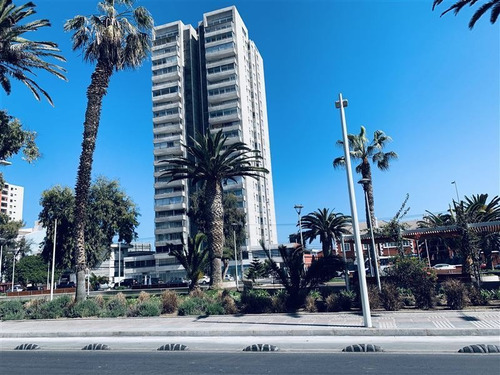 Local Comercial En Arriendo En Antofagasta
