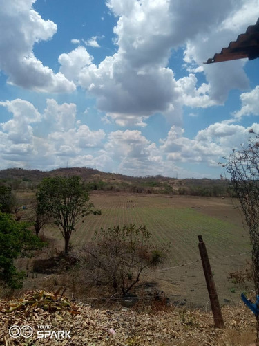 Imagen 9 de 28 de Finca En Venta En El Estado Guarico