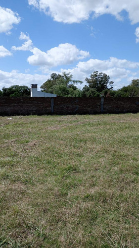 Quinta En Venta - 8 Dormitorios 5 Baños - Cocheras - 14.800mts2 - Salto