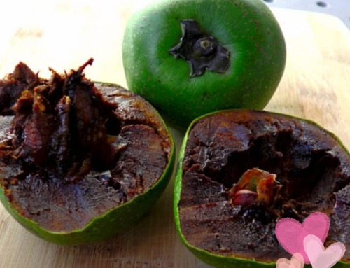 No Semilla Zapote Negro Raro Exótico Envio Gratis!!