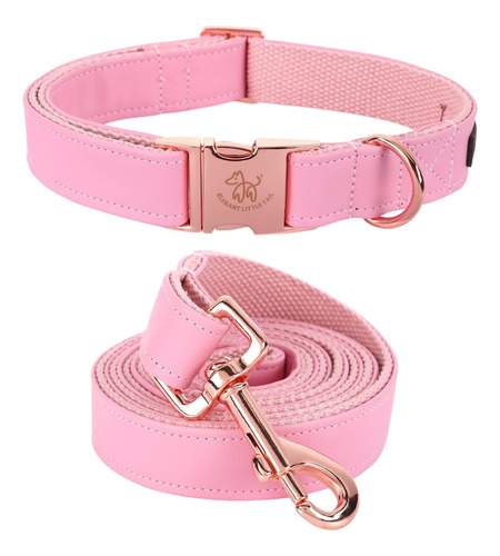 Elegante Collar Y Correa Para Perros Con Cola Pequeña, Colla