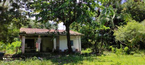 Imagem 11 de 15 de Chácara No Jardim São Fernando, Em Itanhaém, Com 2500 M² De Área Total, Aceita Entrada E Parcelas