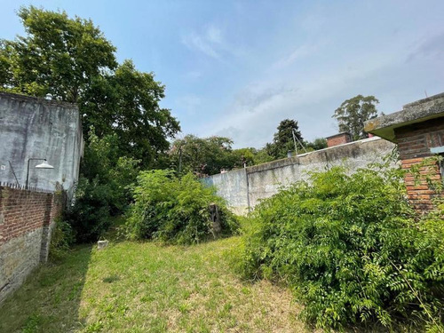 Imagen 12 de 15 de Venta Lote Punta Chica 412m2 - Vito Dumas