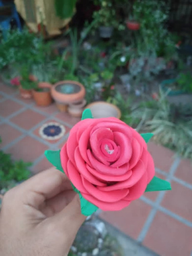 Imagen 4 de 4 de Flores Foami