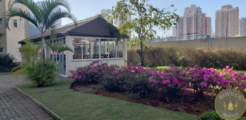 Imagem 22 de 30 de Apartamento Mooca, 90 Metros, 3 Dorms, Suite, 2 Vagas Mais Deposito, Lazer Completo - Ap00582 - 70011116