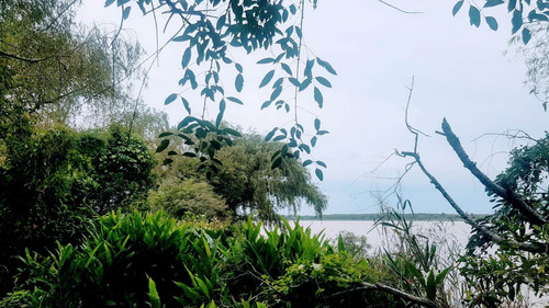 Imagen 18 de 30 de Lote De 25.000m2 Venta 2da Sección Delta Islas Paraná Palma