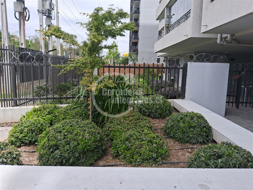 Gran Oportunidad, Bajo Precio De Venta De 2 Dorm. En Ñuñoa