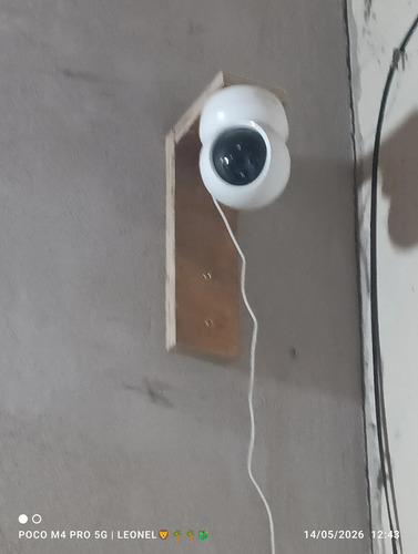 2896981177