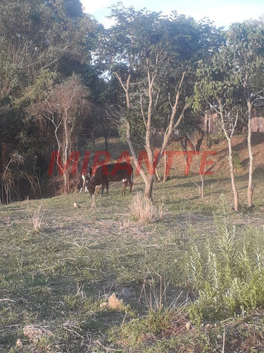 Imagem 6 de 18 de Terreno Em São Vicente - Mairiporã, Sp - 371687