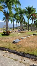 Comprar Se Venden Parcelas Sección 27 En El Cementerio Del Este