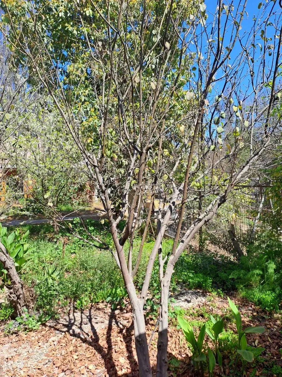 Imagen 5 de 20 de Se Vende Hermosa Propiedad (121510)
